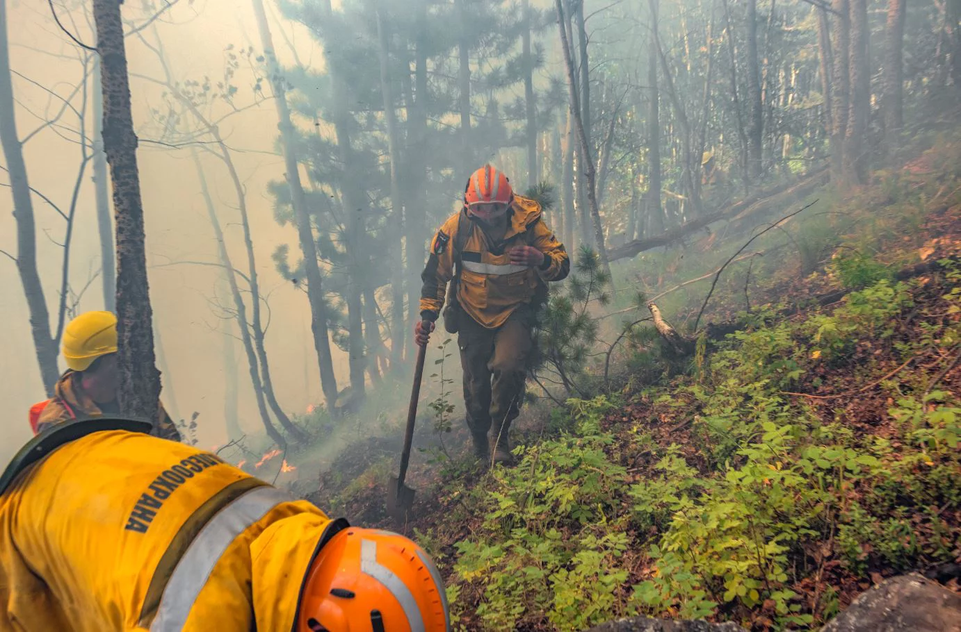 ФБУ "Авиалесоохрана"