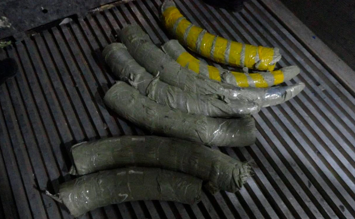 Прокуратура Амурской области