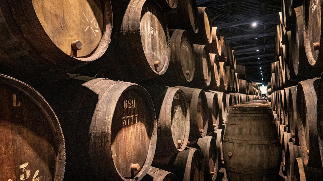 России спрогнозировали «близкий к рекордным» уровень производства вина