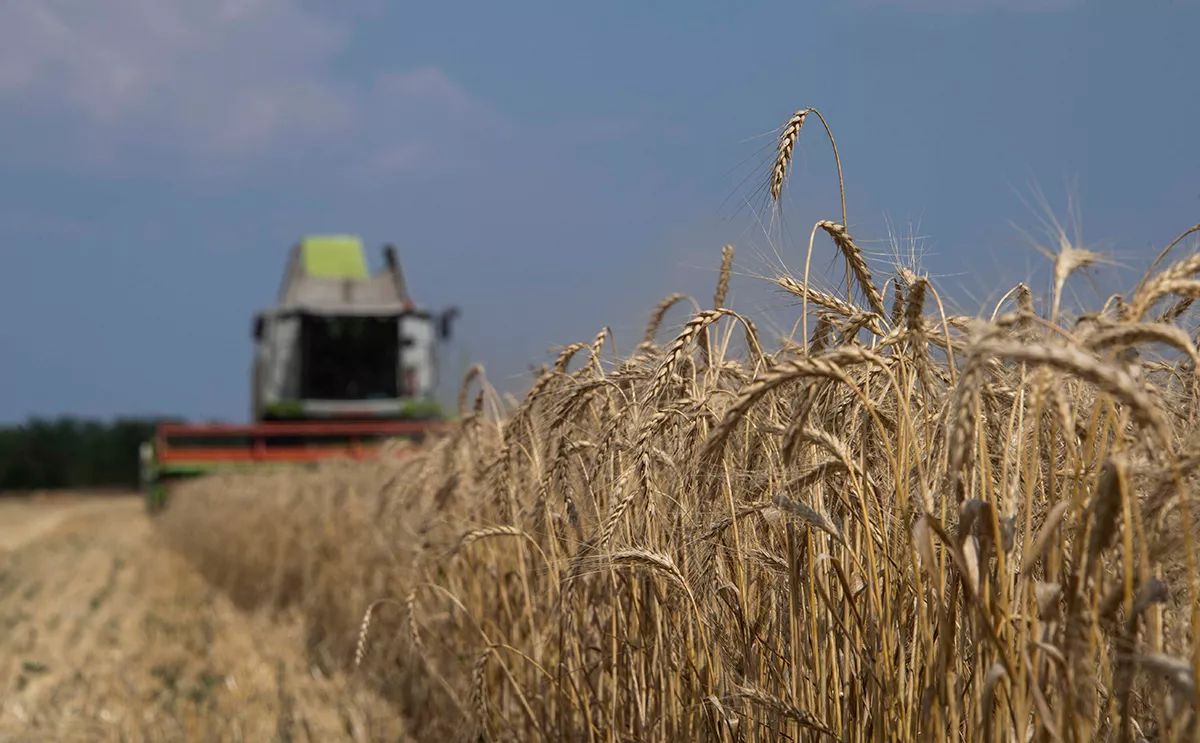 Александр Кряжев / РИА Новости