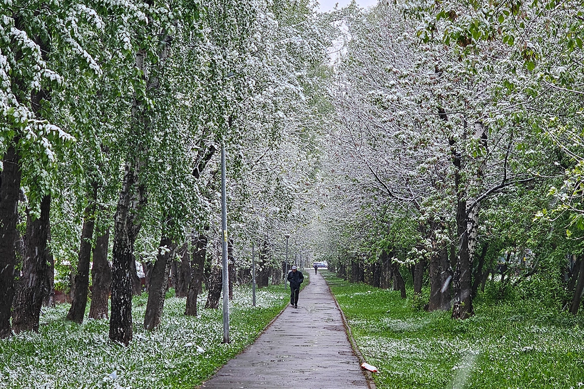 Агентство «Москва»