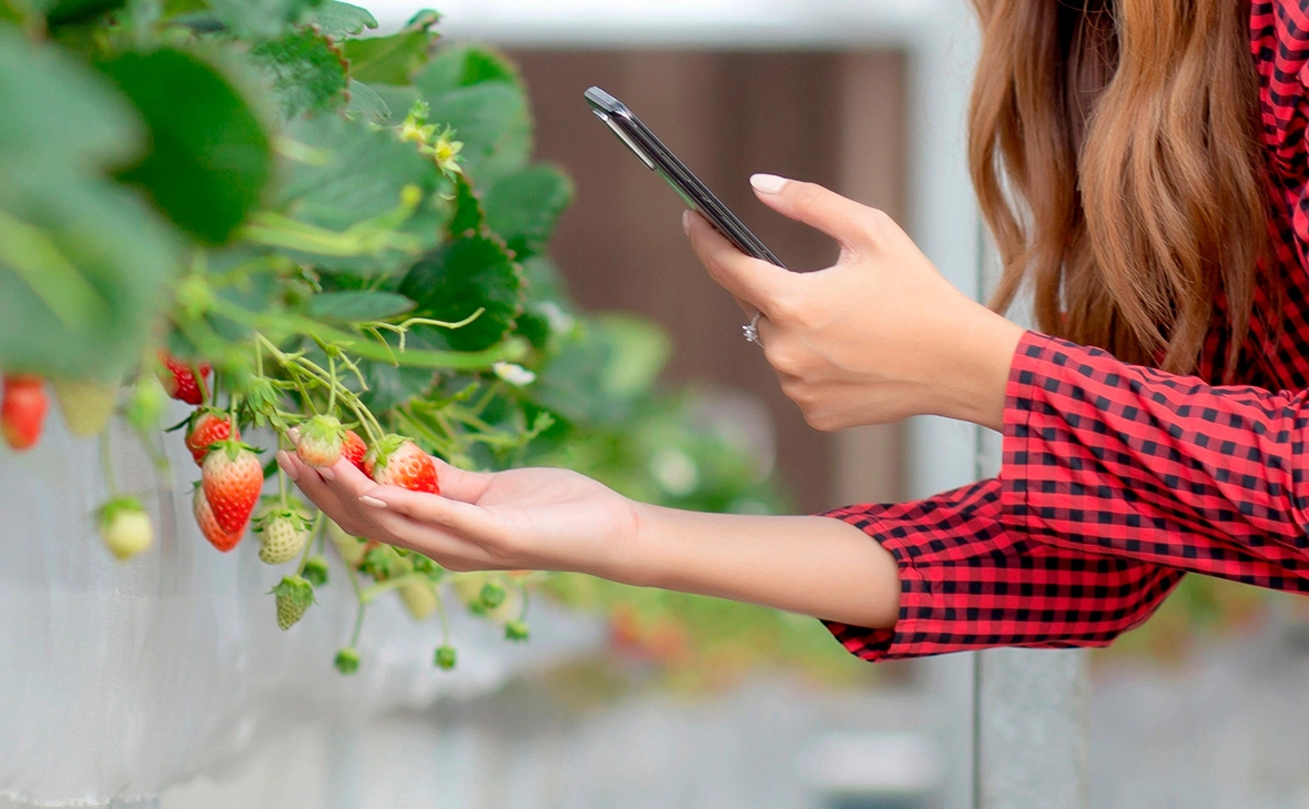 NT_Studio / Fotodom / Shutterstock