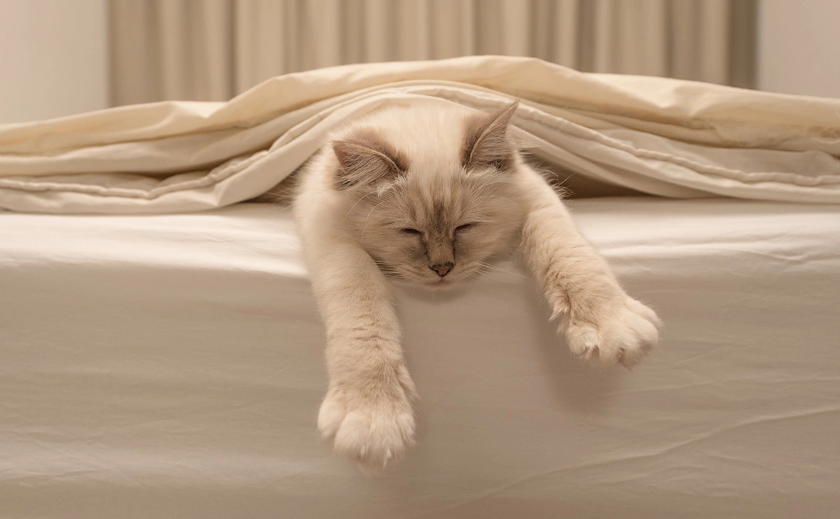 Jorn Out / Fotodom / Shutterstock