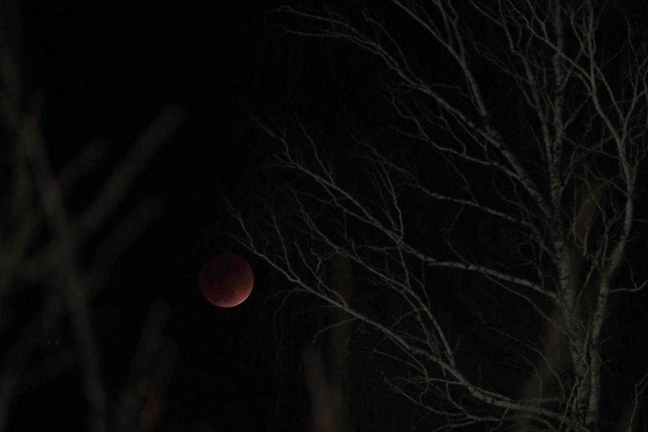 Иркутская область