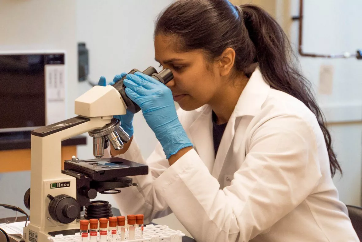 unsplash