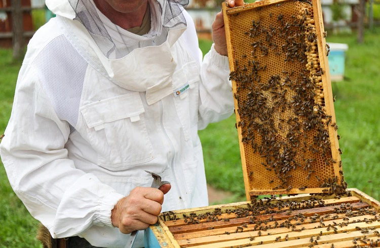 пресс-служба правительства Приморского края