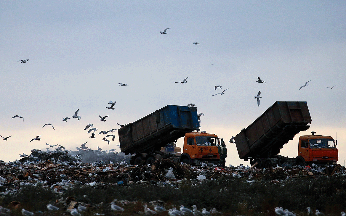 Оператор мусорной реформы предложил закон о запрете смешивать отходы