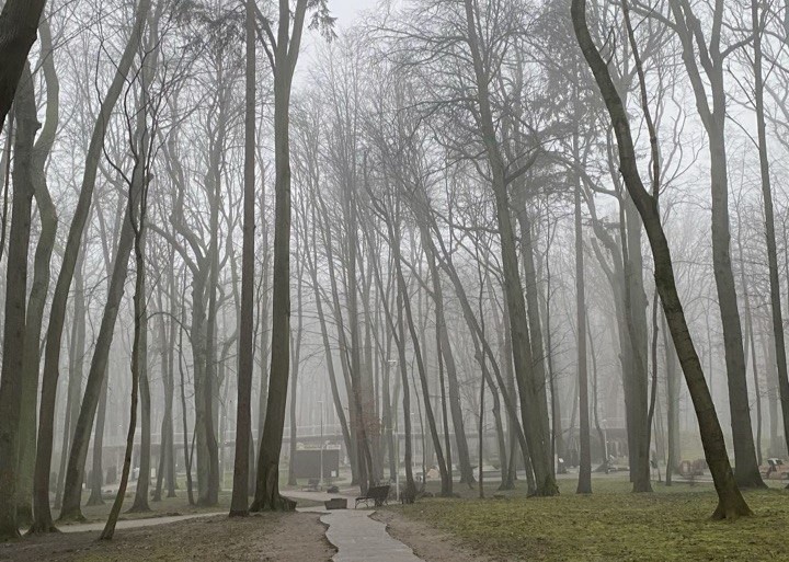 Фото: Надежда Будрина