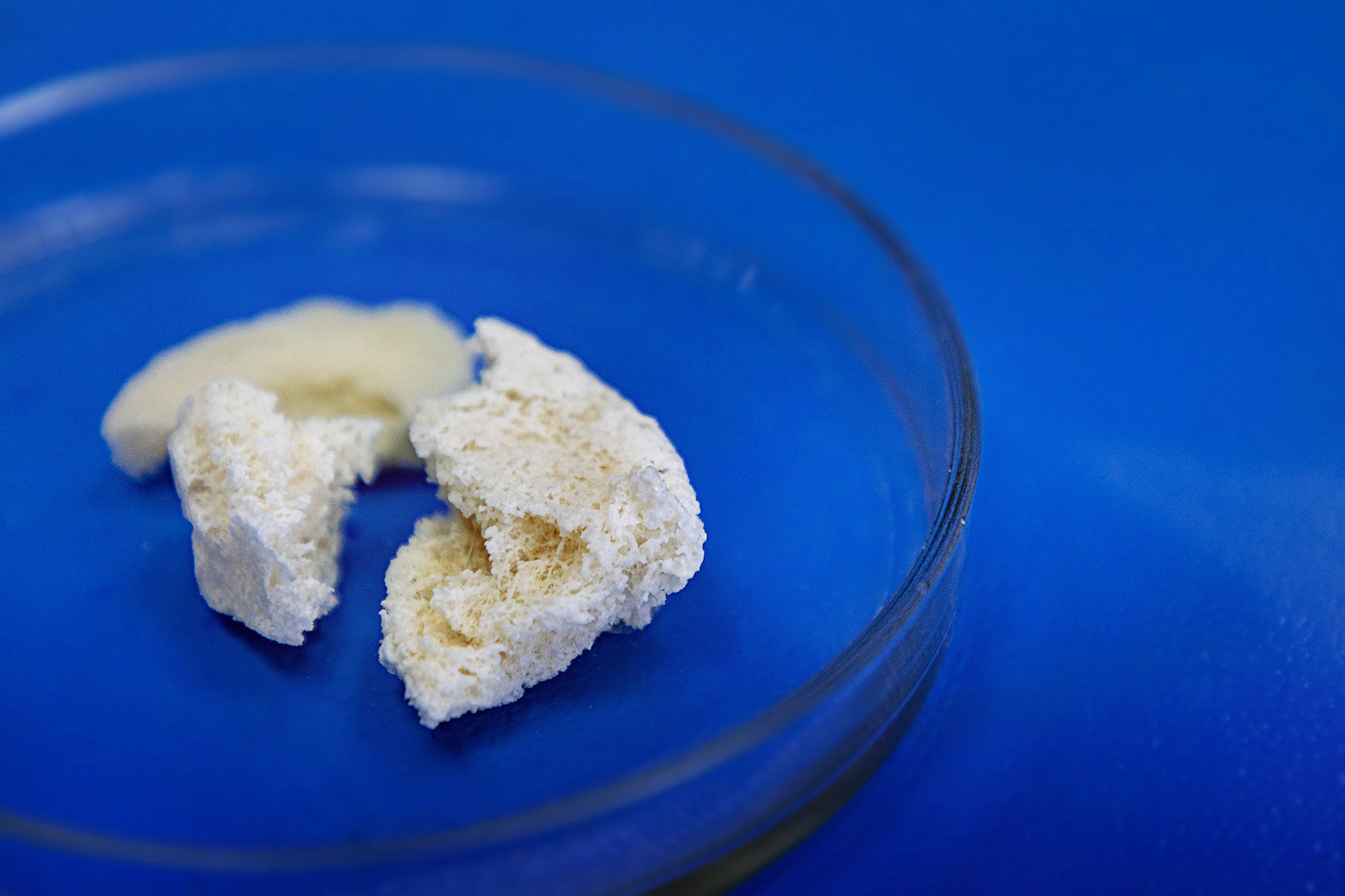 Пресс-служба ННГУ