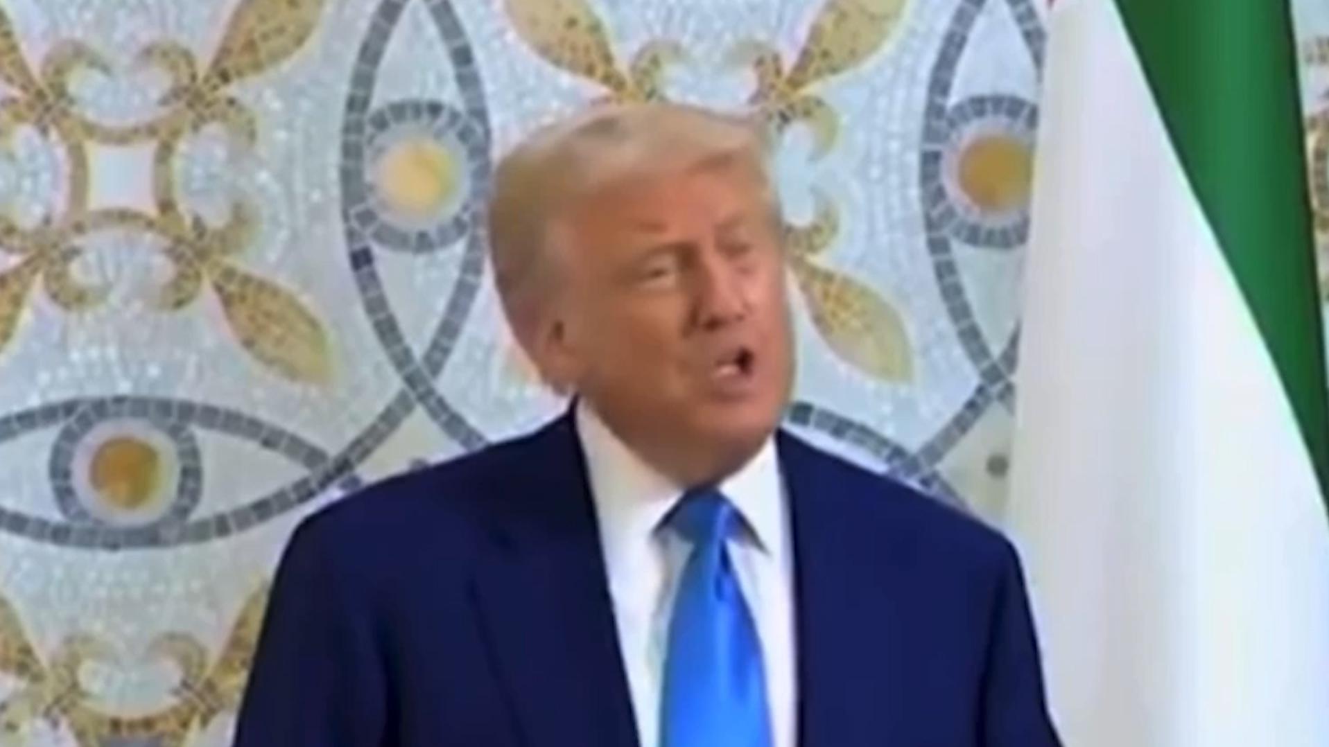 Трамп допустил, что не поедет в Турцию