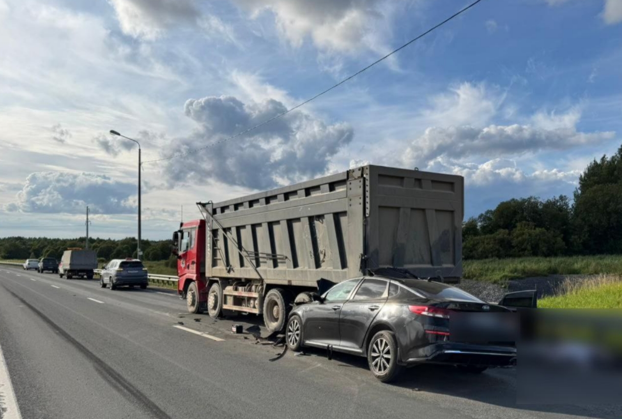 Фото: ГУ МВД по Санкт-Петербургу и Ленобласти