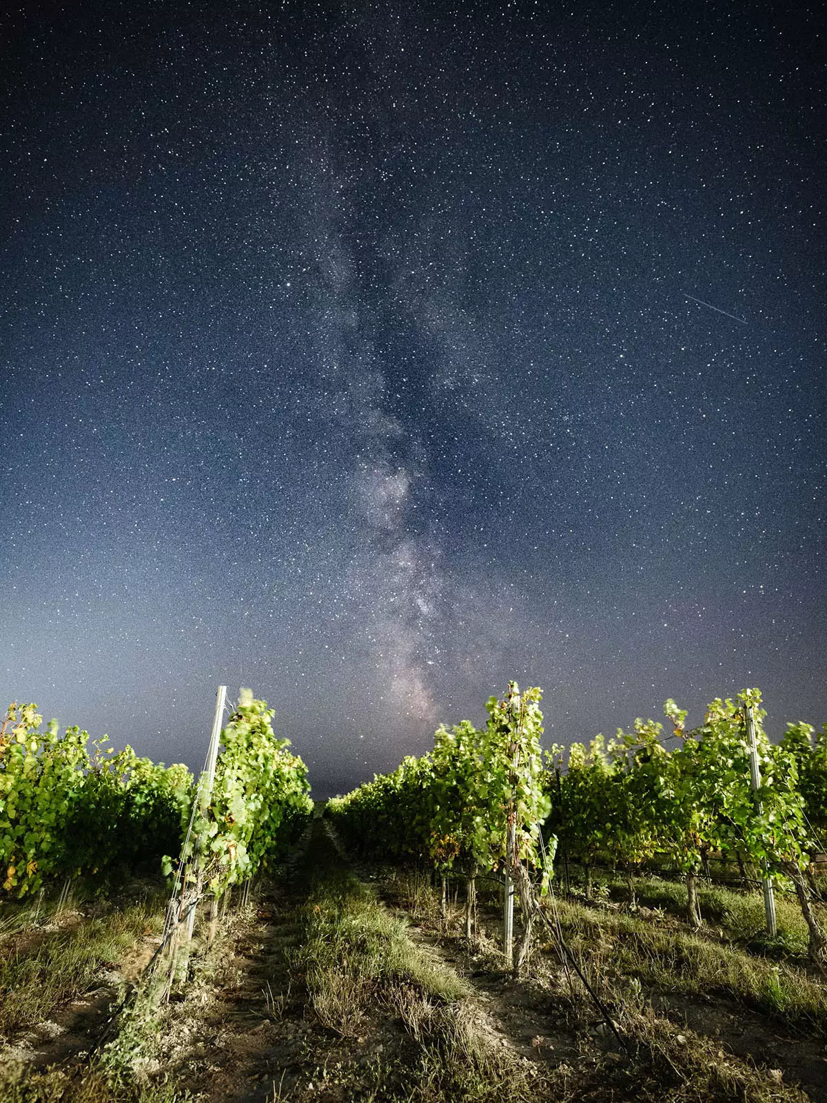 Винодельня «Скалистый берег» находится под Анапой. С конца мая до сентября здесь проходит программа «Вино и звезды». Она начинается прогулкой среди лоз на закате, продолжается знакомством с принципами гравитационного виноделия и дегустацией, а затем уводит гостей еще выше — в небо