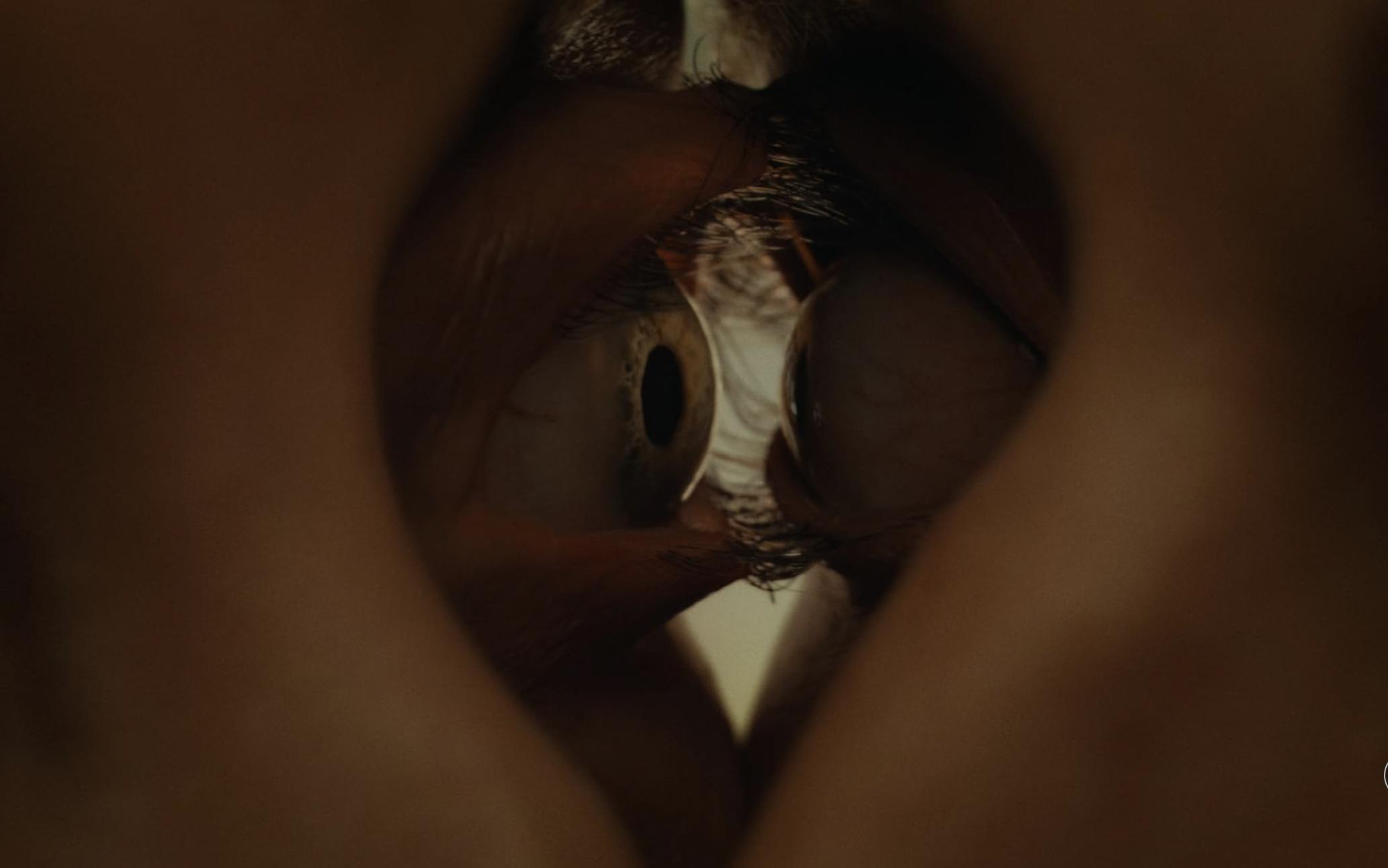 «Одно целое».Супруги-актеры Элисон Бри и Дэйв Франко снялись в пугающем фильме об отношениях, который российские прокатчики именовали «лучшим хоррором года» (по цитате из рецензии киноманского проекта InSession Film, в которой это не утверждалось наверняка). Зачин похож на «Умри, моя любовь»: пара переезжает из города в сельскую местность. Однако вместо безумия падают они, буквально, в подземную пещеру, напиваются там волшебной водицы, после чего их тела начинают срастаться. В процессе каждый задумывается, насколько готов слиться с возлюбленным/возлюбленной воедино. Режиссер и сценарист фильма Майкл Шенкс намеренно не придерживается одного жанра, переходя то в сатиру, то в социальную драму, то в боди-хоррор. Так что разный зритель может уловить связь с происходящим на экране