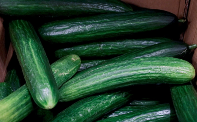 Елена Майорова / Global Look Press