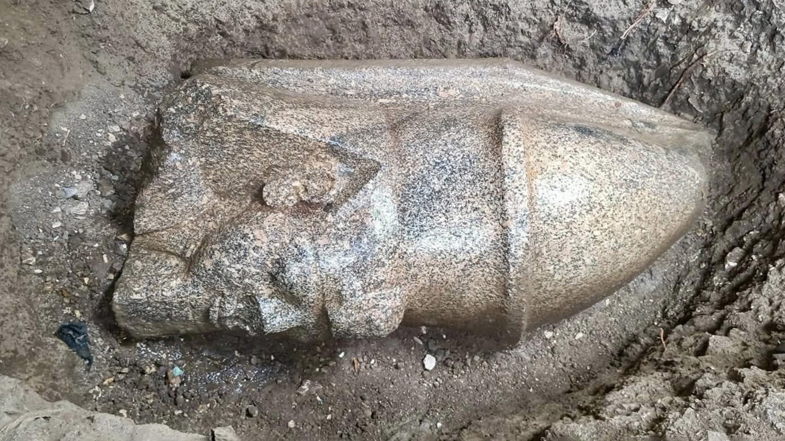 Фрагмент головы от статуи, которая, предположительно, была посвящена Рамсесу II