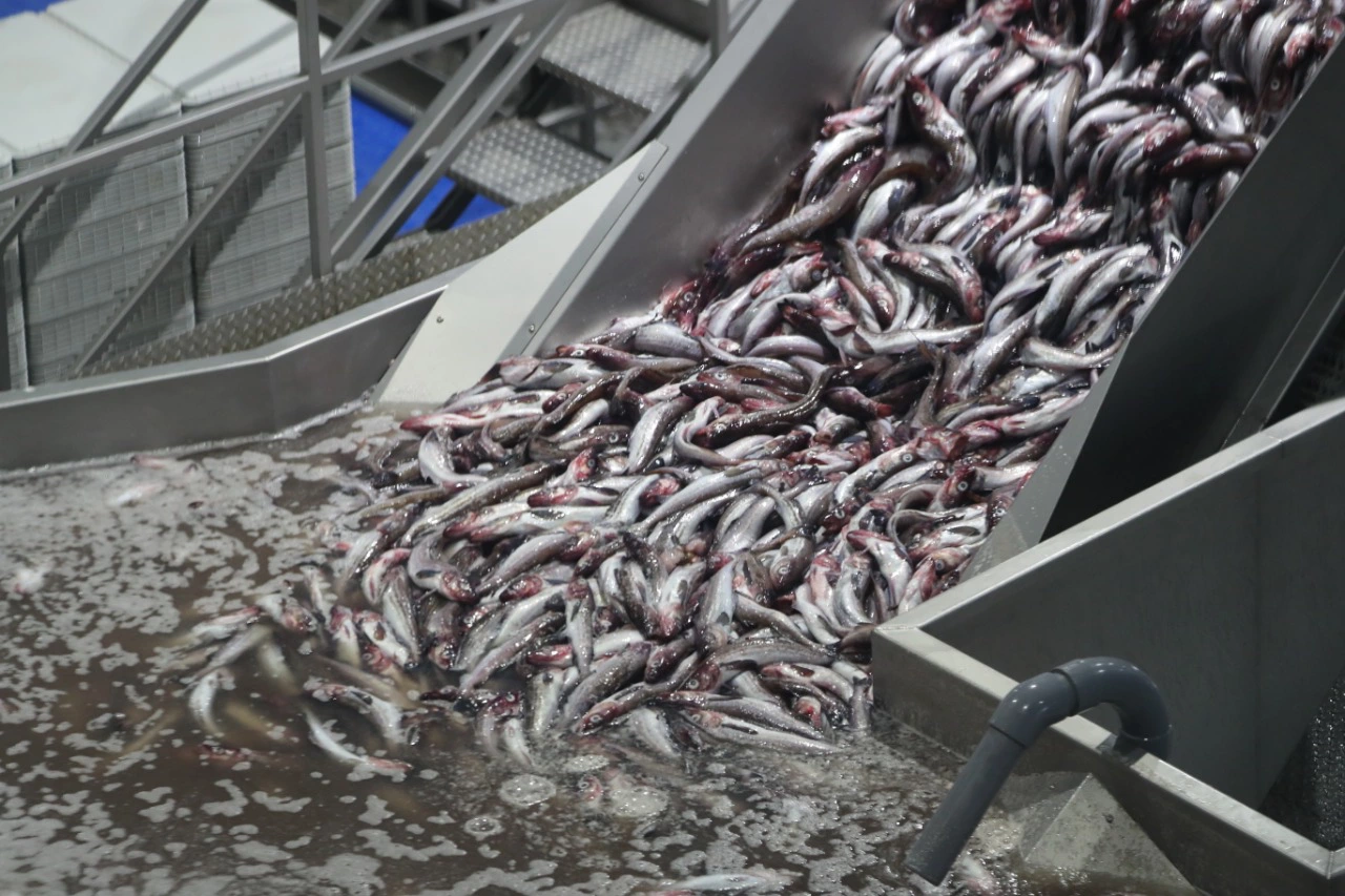 Правительство Сахалинской области