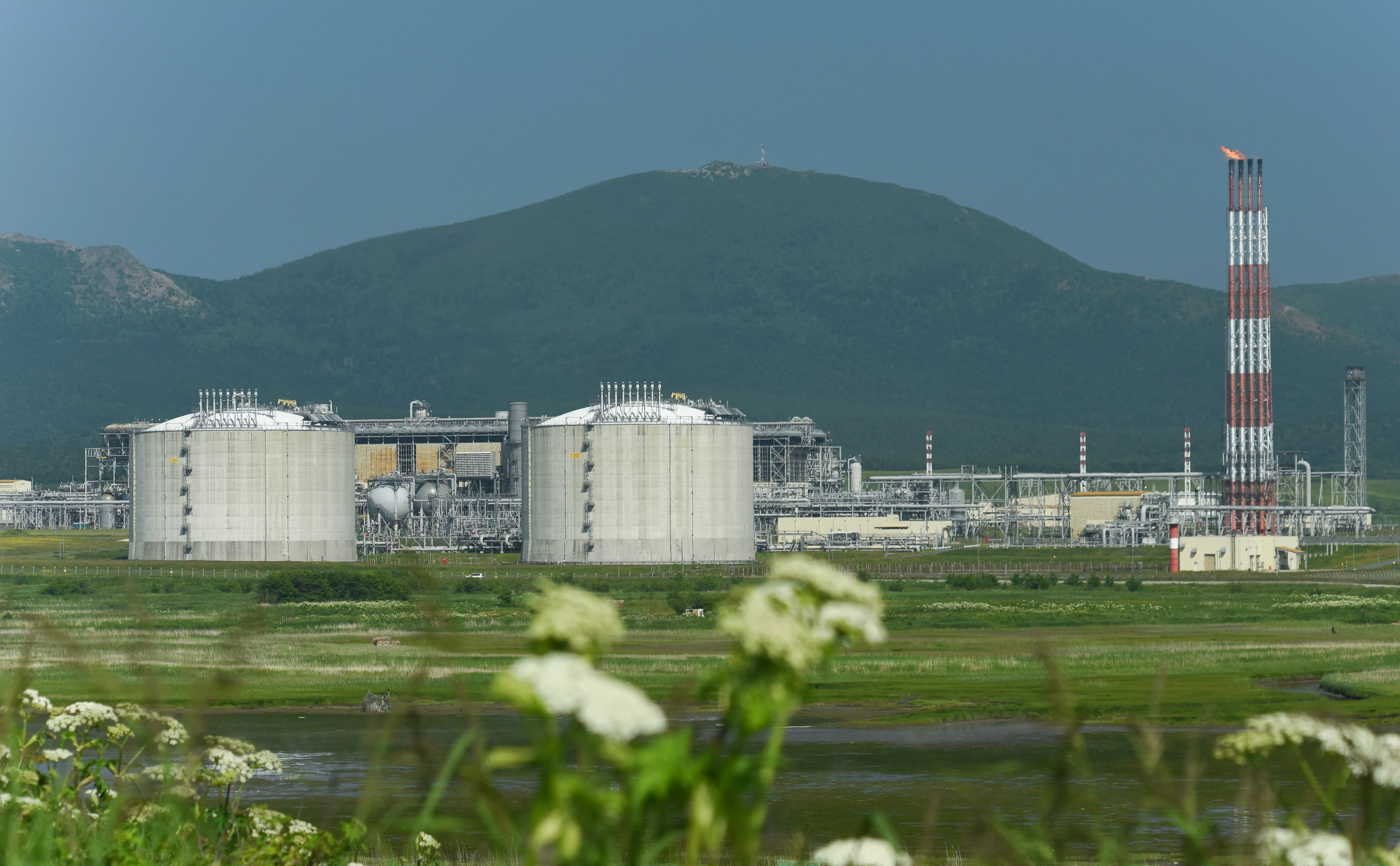 Николай Михальченко / ТАСС