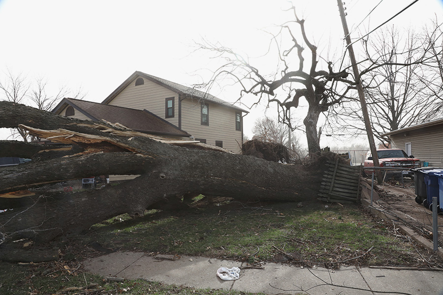 Фото: Lawrence Bryant / Reuters