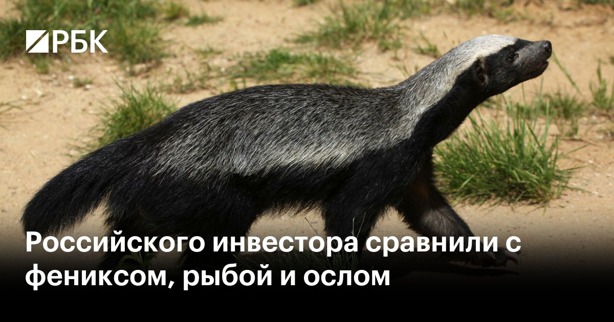 Российского инвестора сравнили с фениксом, рыбой и ослом