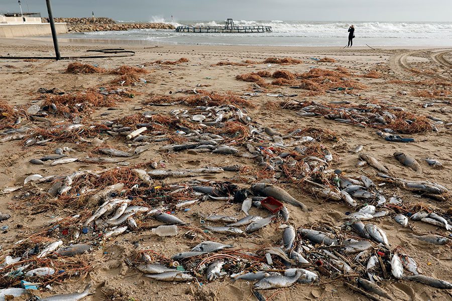 Шторм принес значительные разрушения пляжам в курортных зонах, залитыми оказались рисовые поля

На фото:  пляж в Валенсии
