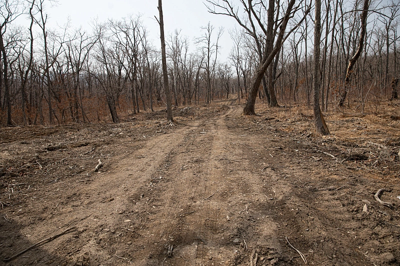пресс-служба администрации Владивостока