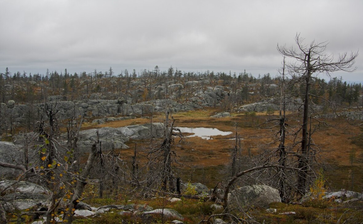 Фото: gov.karelia.ru