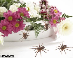Британская фирма приготовила ко Дню матери цветы с пауками