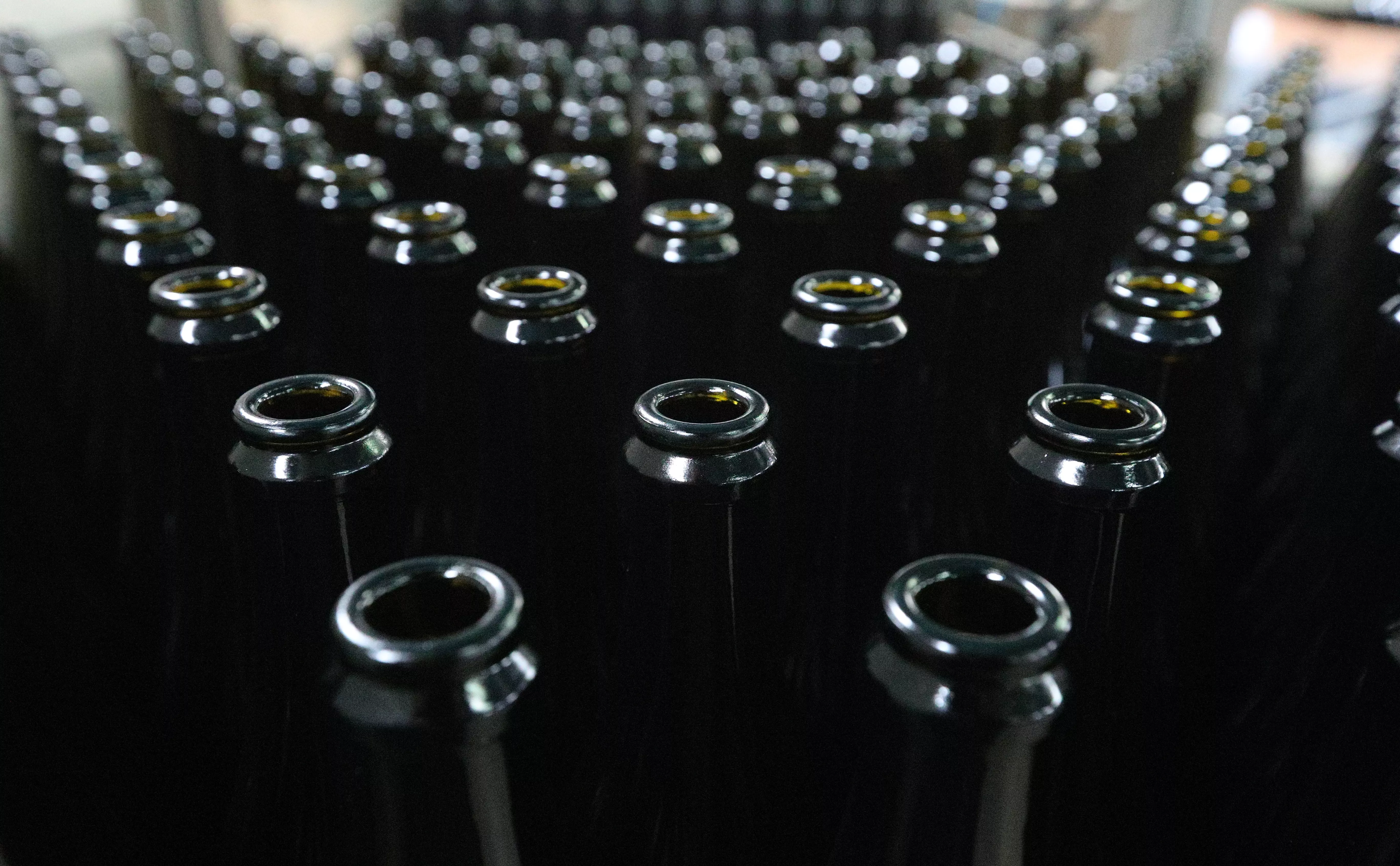 Владимир Смирнов / ТАСС