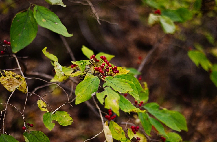 пресс-служба правительства Приморского края