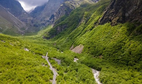 Фото: freepik.com
