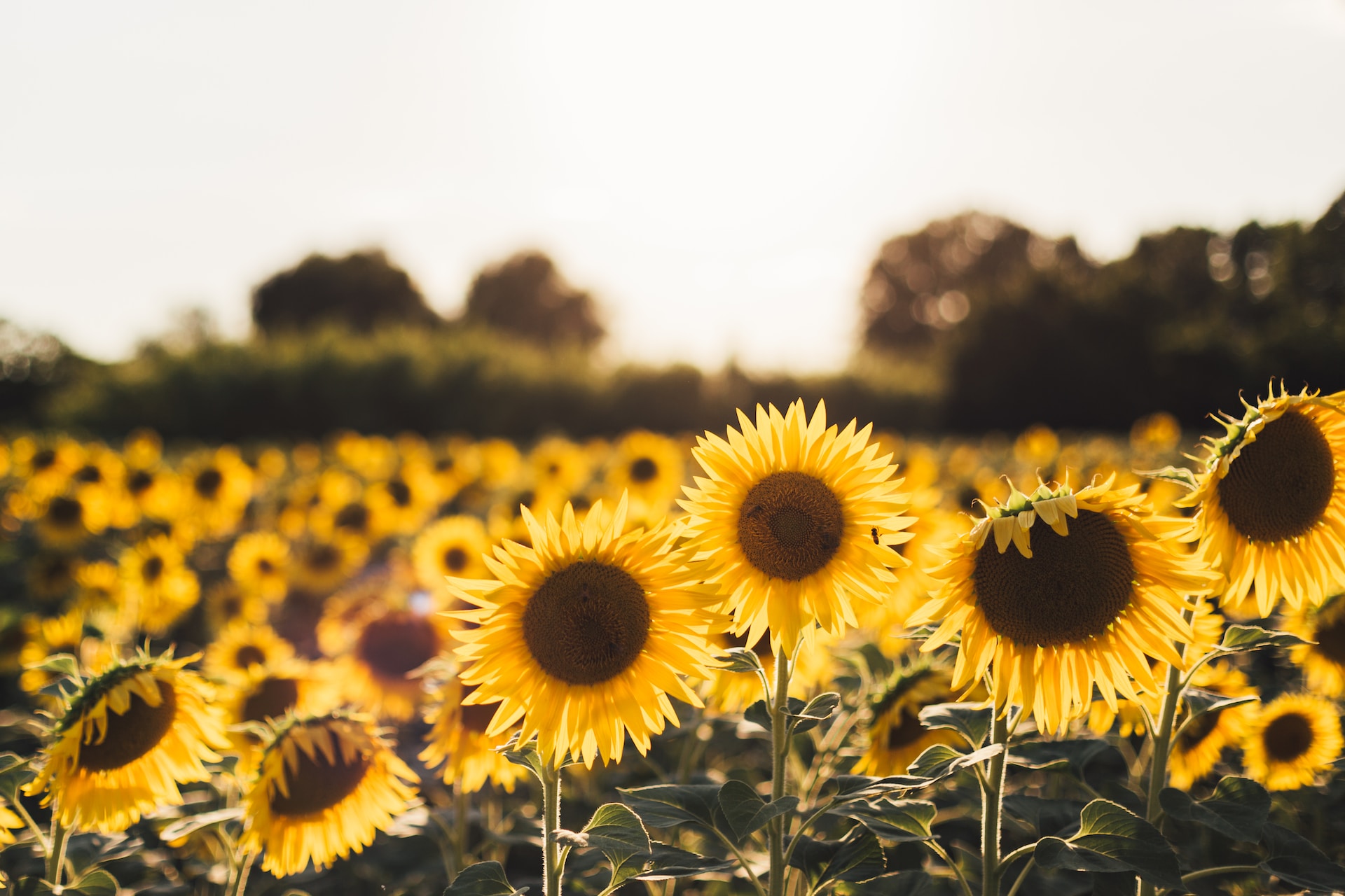 Фото: unsplash.com