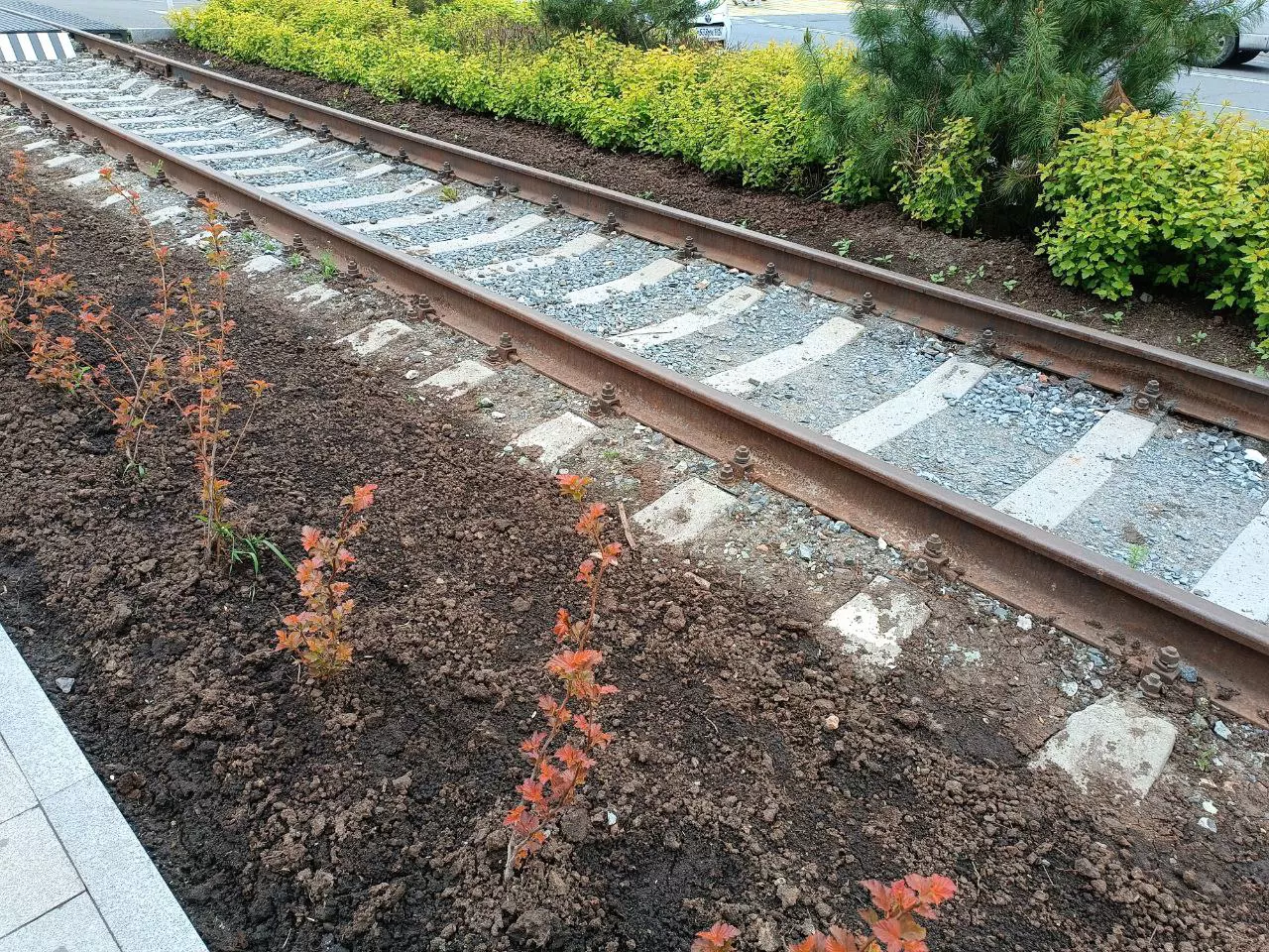 РБК Приморье