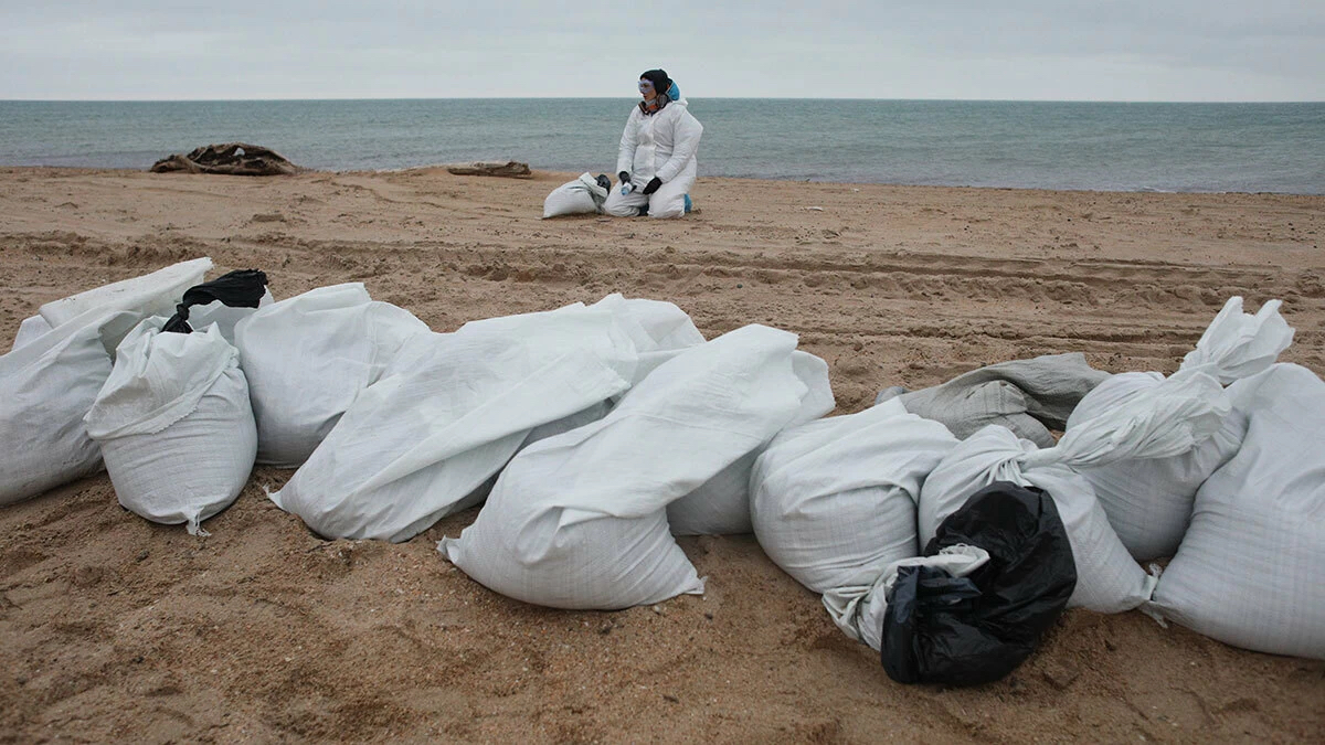 Побережье Черного моря