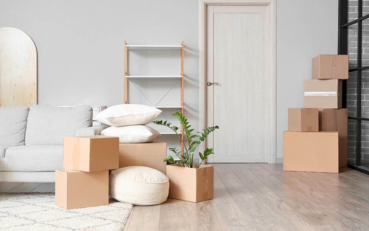 Фото: Pixel-Shot / Shutterstock / FOTODOM