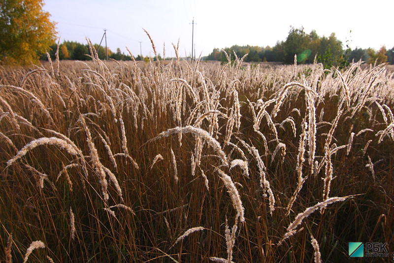 Из-за холодов и дождей заготовка кормов в Татарстане отстает в 70 раз