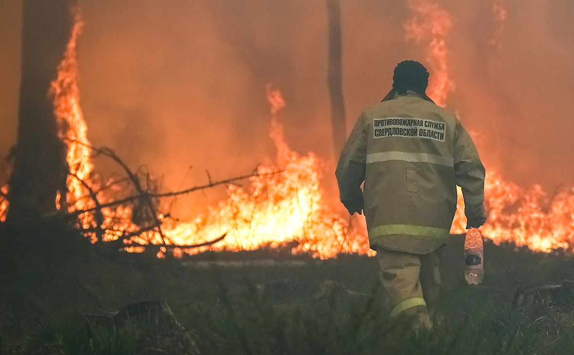 Донат Сорокин / ТАСС