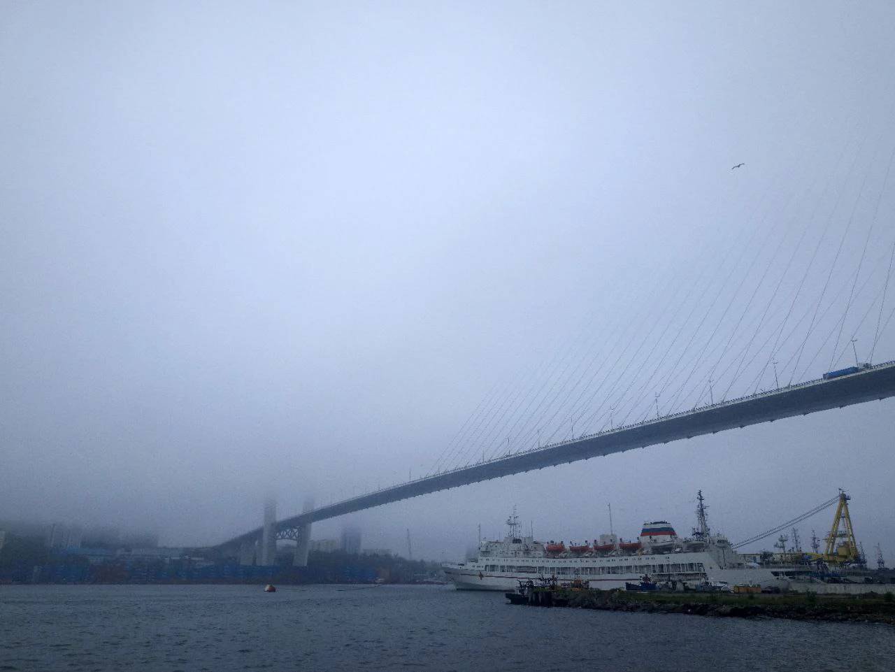 РБК Приморье