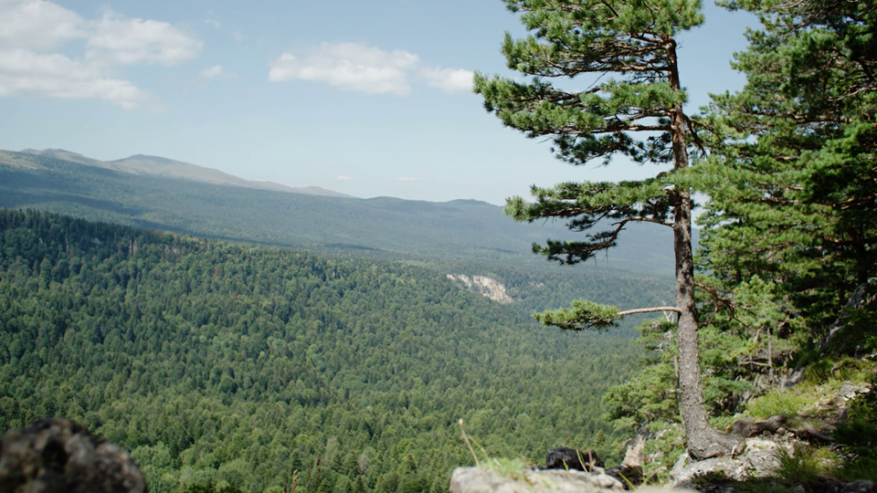 Портрет региона: Республика Адыгея