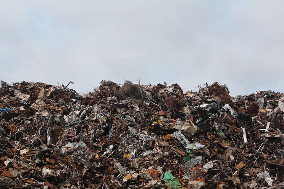 Министр: калининградские компании нарушали закон при размещении мусора
