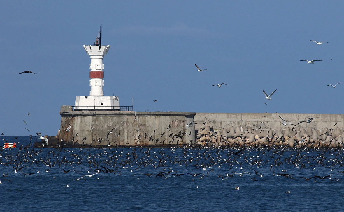 Алексей Павлишак / ТАСС