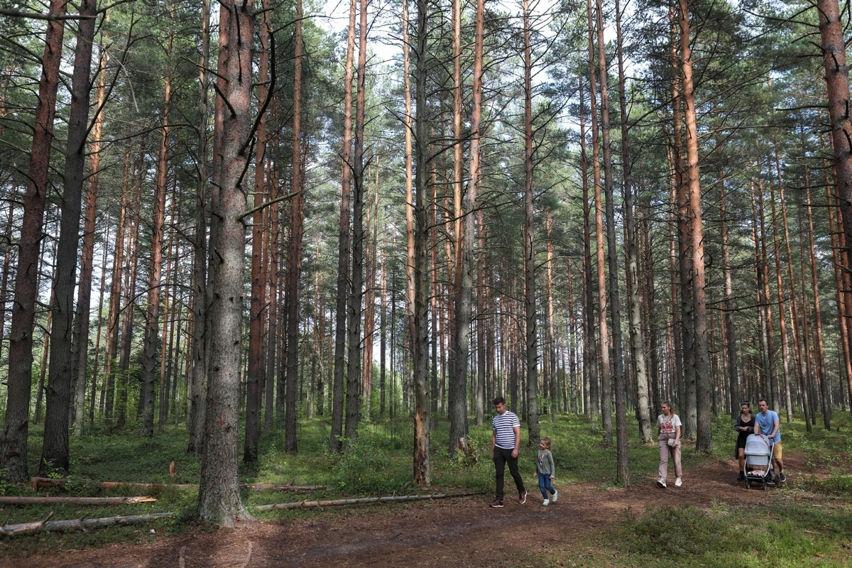 Пименов Роман/PhotoXPress.ru