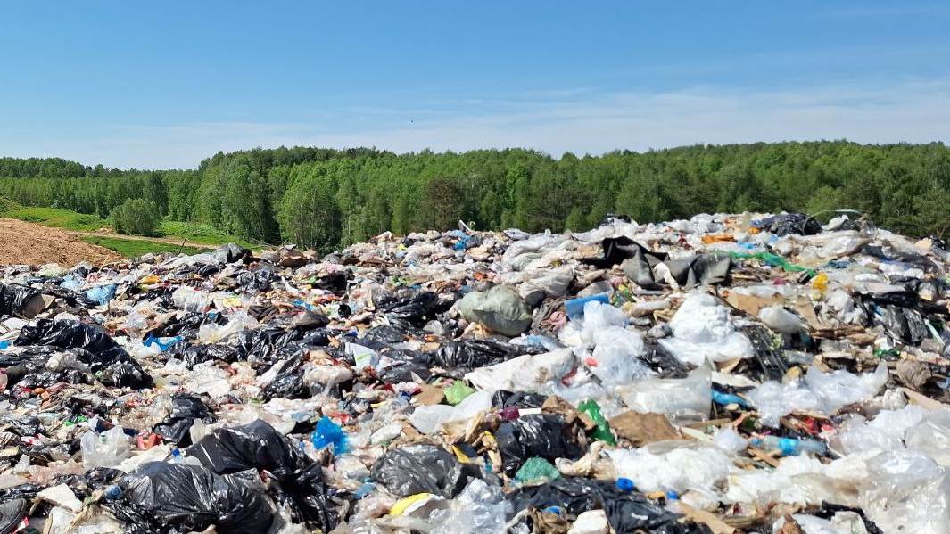 Фото: Управление Росприроднадзора по Нижегородской области и Республике Мордовия