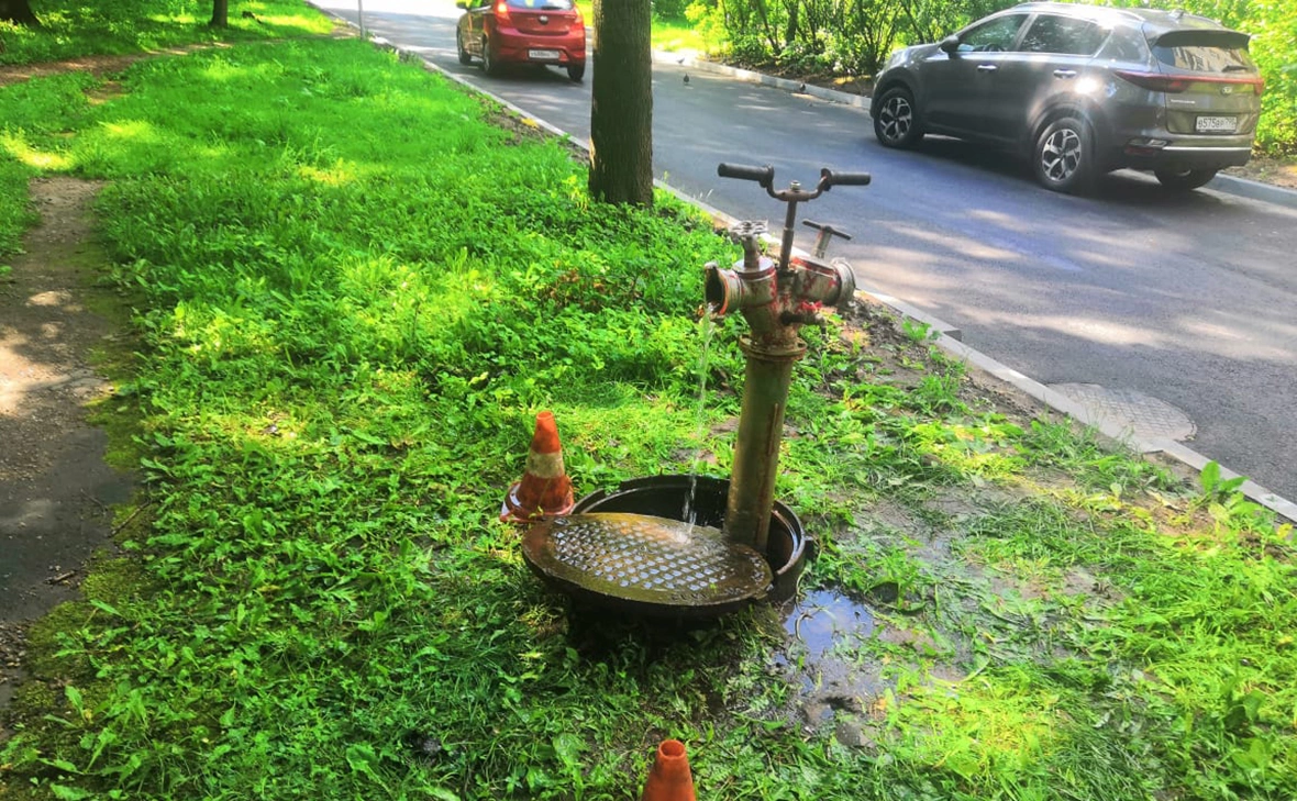 Станислава Квачева / РБК