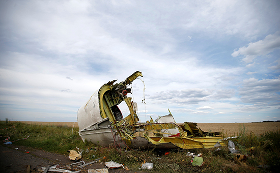 Часть обломков на месте крушения&nbsp;Boeing MH17 в Донбассе


