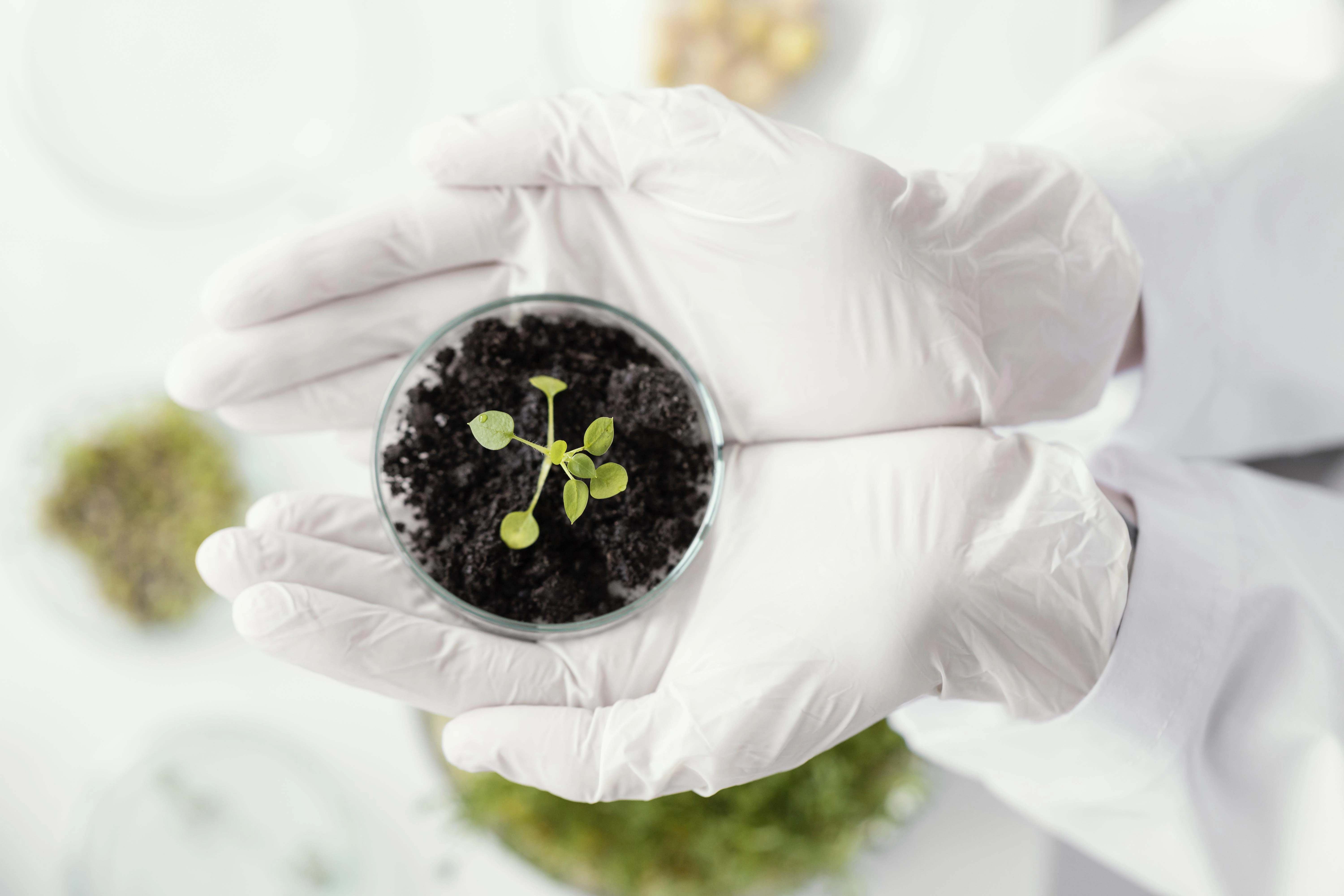 Изображение от Freepik