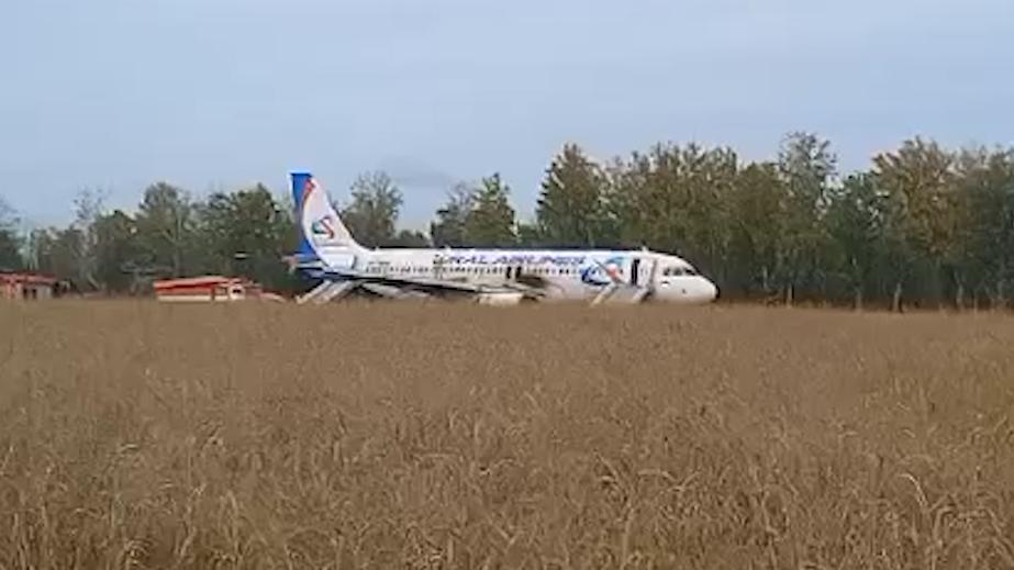 Самолет «Уральских авиалиний» сел в поле в Новосибирской области. Видео