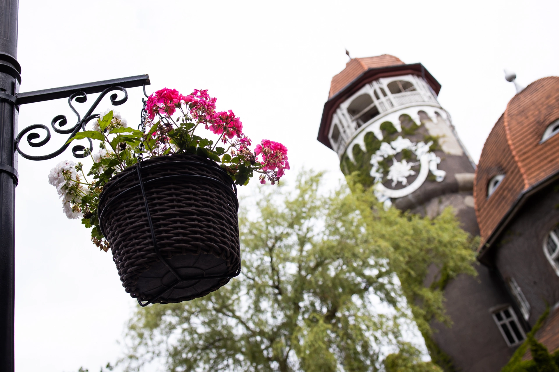 Александр Подгорчук