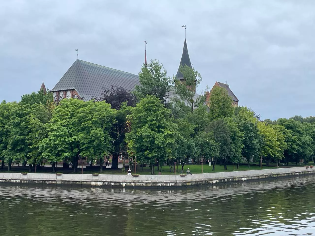 Марина Маркевич