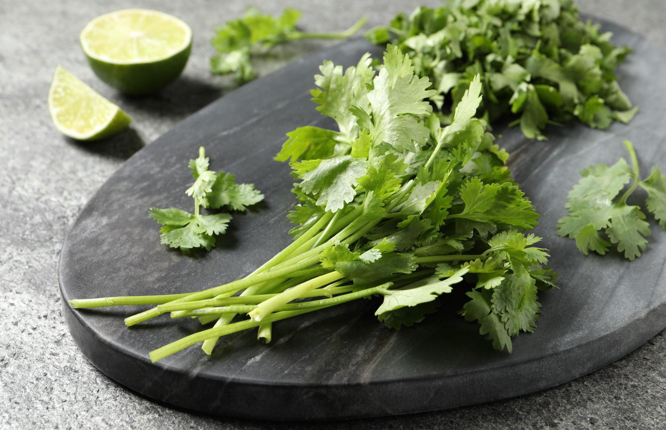 Фото: New Africa / Shutterstock / FOTODOM