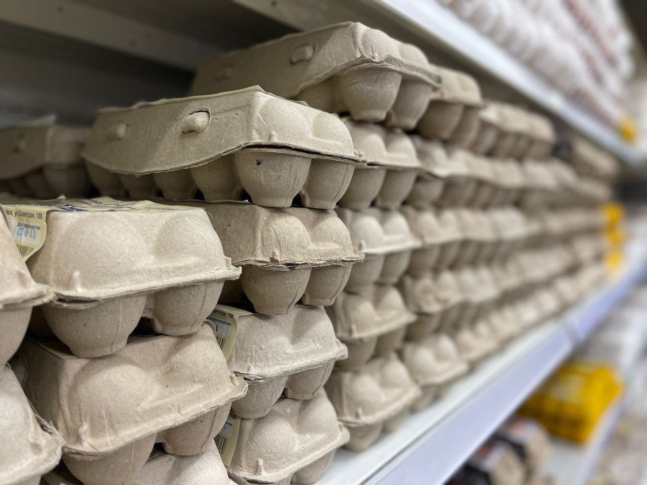 Фото: РБК Приморье